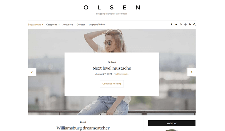 best WordPress blog themes