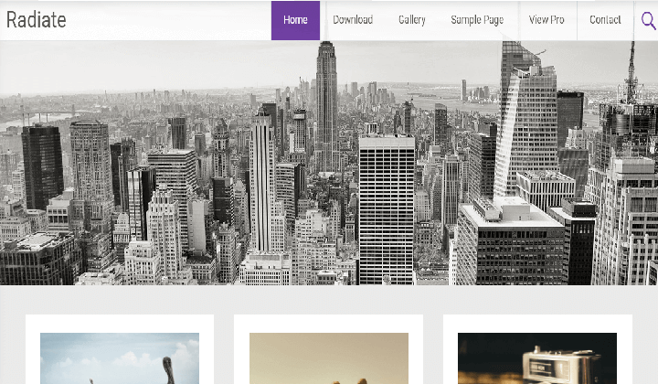 best WordPress blog themes